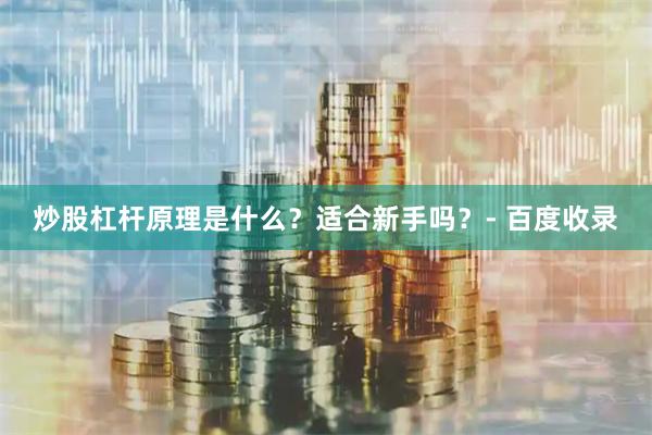 炒股杠杆原理是什么？适合新手吗？- 百度收录