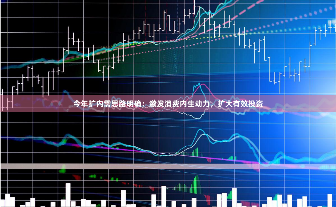 今年扩内需思路明确：激发消费内生动力，扩大有效投资