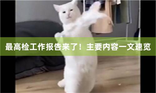 最高检工作报告来了！主要内容一文速览